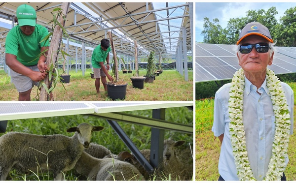 ManaSolar couple agriculture, élevage et photovoltaïque