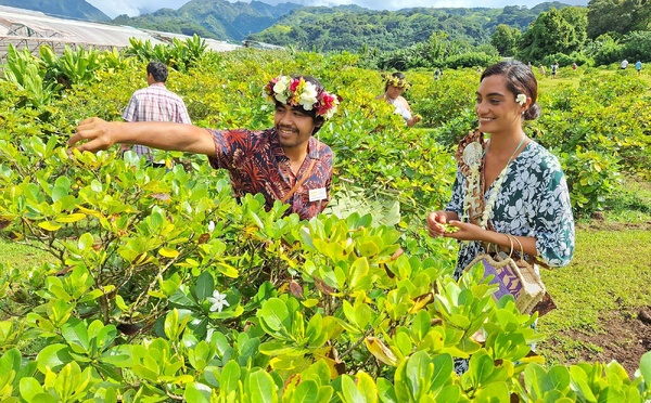 Embarquement pour le Tere Tiare Tahiti à Papara