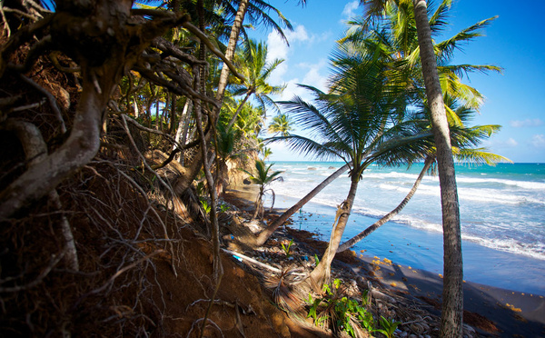 Guadeloupe: face à l'érosion côtière, des maires guadeloupéens désemparés