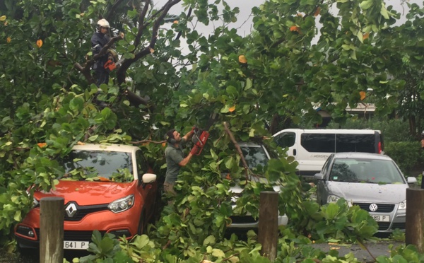 Chutes de pierre, arbres couchés sur la chaussée, les pluies provoquent des dégâts