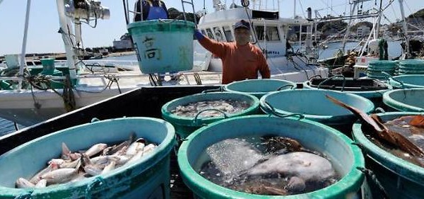 La vie houleuse des pêcheurs de Fukushima