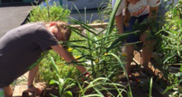 Un jardin partagé en plein cœur du centre-ville pour les familles nécessiteuses