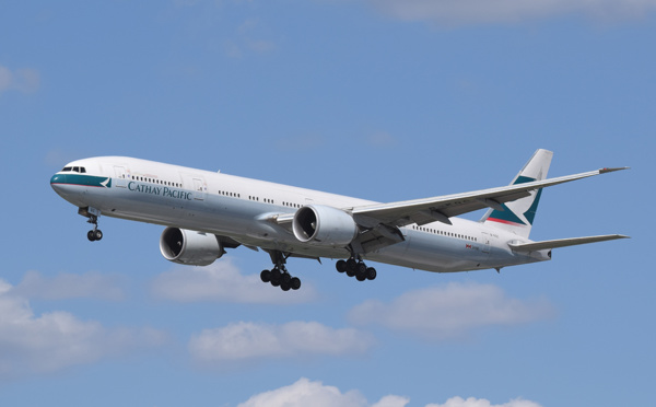 Hong Kong: les ailerons de requins ne voleront plus sur Cathay Pacific