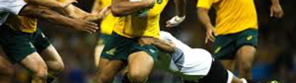 Rugby Championship: l'Australie défendra son titre avec ses "Français"