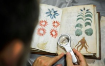 Un manuscrit des plus mystérieux cloné en Espagne