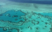 Des océans "malades" du réchauffement, préviennent des scientifiques