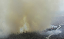 Indonésie: des religieux lancent une fatwa contre les incendies de forêts