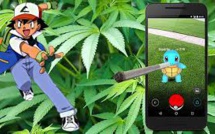 Il joue au Pokemon Go... et tombe sur une plantation de cannabis