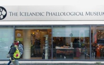 Au musée du phallus de Reykjavik, le pénis sous toutes ses formes