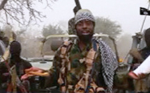 Boko Haram diffuse une vidéo d'exécution sur le modèle de l'EI