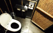 Tourisme: la Chine lance sa "Révolution nationale des toilettes"
