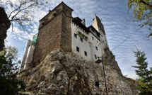 Roumanie: la forteresse de Dracula hantée par des... ours