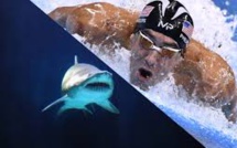 Michael Phelps va nager contre un requin