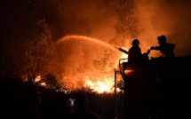 Feux de forêt au Portugal: 61.600 hectares partis en fumée