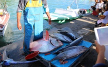 Heiva i Huahine : Manu Oopa remporte le concours de pêche en haute mer 