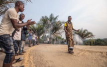 RDC: 11 gardes et une journaliste américaine enlevés dans une réserve animalière