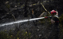 Corse-du-Sud: 150 hectares brûlés à Palneca, des sentiers de randonnée fermés