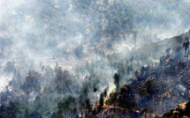 Corse: l'incendie de Calenzana maîtrisé, celui de Palneca "ne progresse plus"