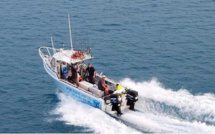 Australie: une baleine heurte un bateau et blesse des passagers