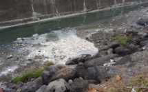 Du produit blanchâtre dans le cours d'eau de la digue