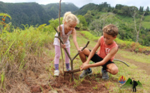 Environnement : Les Rando Nettoyeurs lancent une" rando plantation" samedi