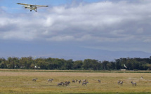 Onze morts dans l'accident d'un avion en Tanzanie