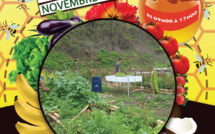 Journée portes ouvertes vendredi au jardin potager de Vaitavere