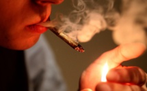 La consommation de cannabis bientôt punie d'une amende