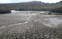Sècheresse historique  à l’île de Pâques