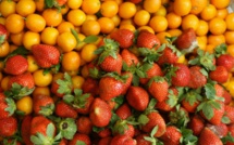 Cinq fruits et légumes par jour... Et des traces de pesticides