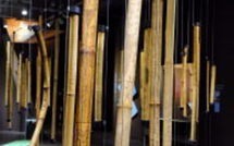 Les bambous gravés ou l'art mystérieux des Kanaks