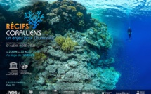 Les coraux à l'honneur au siège de l'Unesco