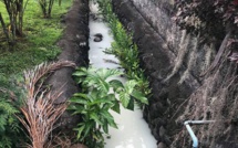 Mahina : du liquide blanchâtre dans un ruisseau près d'une école maternelle