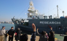 Japon: 122 baleines enceintes tuées au cours de l'expédition dans l'Antarctique