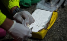 Plus "pure" et "disponible", la cocaïne en pleine résurgence en Europe