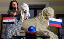 Achille le chat mise encore sur la Russie contre l'Egypte