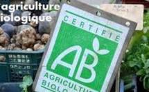 Doter la Polynésie française d’un cadre général à l’agriculture biologique