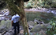 Fautaua : l'adolescente de 15 ans est décédée suite à une chute de 150 mètres