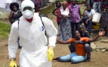 Ebola : des chercheurs espagnols travaillent sur un vaccin universel