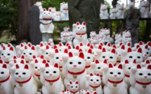 A Tokyo, un temple des chats porte-bonheur attire les instagrammeurs