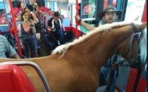 Autriche: il monte dans le train avec son cheval