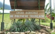 Lycée agricole d'Opunohu : Il reste des places vacantes en 2nde professionnelles