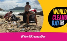 CleanUp Day : Appel aux volontaires pour nettoyer la plage de Aorai Tini Hau