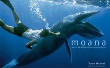 MOANA, rencontre avec la biodiversité sous-marine polynésienne.