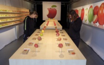 Moselle: une exposition de pommes comme dans un Apple store