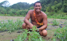 Ce jeune agriculteur de Papeari voit la vie en bio !