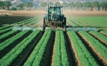 Pesticides: le métam-sodium indésirable dans les champs de l'Hexagone