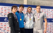 Natation - Championnat de France élite : Nicolas Vermorel vice-champion de France