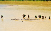 En Amazonie, les peuples autochtones isolés toujours plus menacés