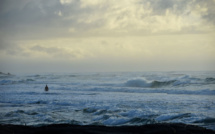 Australie: un surfeur gravement blessé par un requin